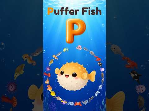 🐡Sea Animals ABC Song | M-P | Fun Song for Kids